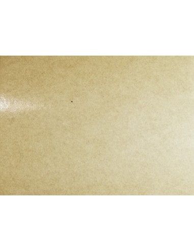 LOMERA ADHESIVE Brown paper 120g - 38mm X 50m