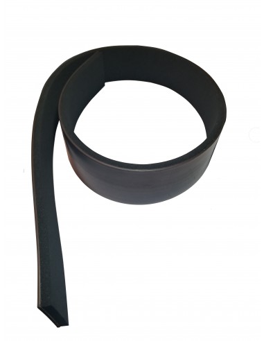MAGNETIC PISON for guillotine